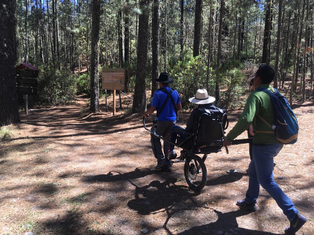 Fotografía a color en posición horizontal que muestra a 4 personas recorriendo un sendero en la naturaleza, una de ellas es una mujer joven con discapacidad motriz en una silla de ruedas trekking dirigida por dos personas; de fondo se observan árboles y un cielo despejado.