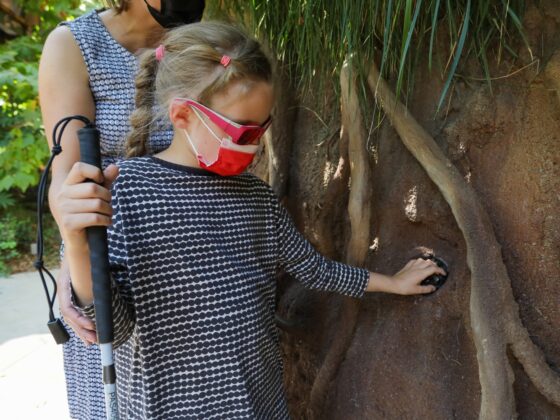 Fotografía horizontal donde aparece una niña con discapacidad visual interactuando con los indicadores táctiles y texturas de un zoológico, los cuales están integrados para que parezcan parte de la corteza de un árbol.