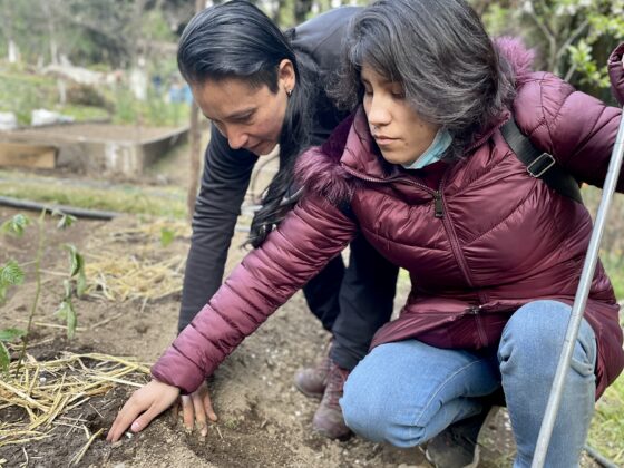 Fotografía donde aparecen dos mujeres en un huerto. Una de ellas vive con discapacidad visual y está de cuclillas, con su mano derecha está sintiendo un montículo de tierra donde crecerán frutos y con su mano izquierda sostiene un bastón blanco. La otra persona es una guía de turistas, que está describiendo lo qué están tocando y el proceso de crecimiento de los vegetales del huerto.