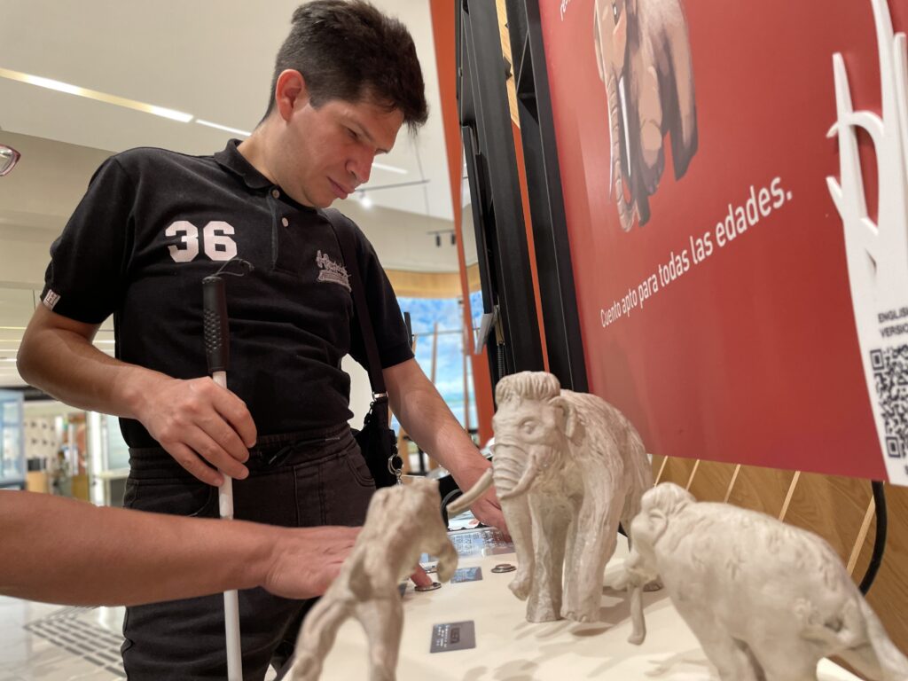 Fotografía horizontal de una persona con discapacidad visual tocando las placas en braille de una exhibición en el museo del mamut. A su lado hay maquetas pequeñas de dos mamuts y un tigre dientes de sable.