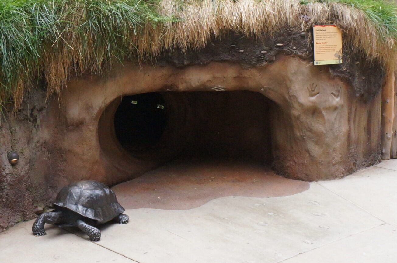 Fotografía de la exhibición de las tortugas. A la izquierda hay una tortuga a escala natural hecha de bronce, que se puede tocar. A la derecha está el letrero que invita a sentir la temperatura de la madriguera. Debajo de este hay dos huellas de manos labradas en el muro de piedra, donde se siente la temperatura.